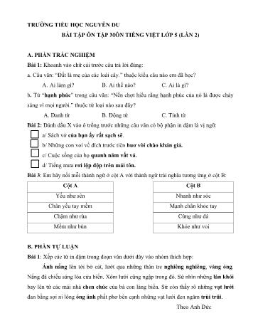 Hướng dẫn ôn tập cuối năm môn Tiếng việt Lớp 5 - Trường Tiểu học Nguyễn Du (Đề số 02)