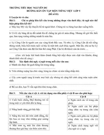 Hướng dẫn ôn tập cuối năm môn Tiếng việt Lớp 5 - Trường Tiểu học Nguyễn Du (Đề số 01)