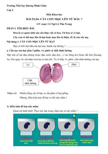 Bài dạy Khoa học Lớp 5 - Bài 53+54: Cây con mọc lên từ đâu ? - Ngô Lê Thu Trang