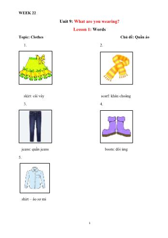 Bài dạy môn Tiếng Anh tăng cường Lớp 3 - Unit 9: What are you wearing? (Tiếp theo)