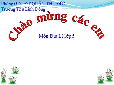 Bài giảng Địa lí Lớp 5 - Bài: Châu Phi - Trường tiểu học Linh Đông