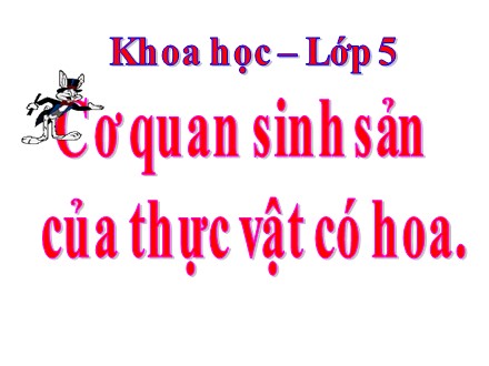 Bài giảng Khoa học Lớp 5 - Bài 53: Cây con mọc lên từ hạt - Năm học 2019-2020