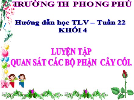 Bài giảng Tập làm văn Lớp 4 - Bài: Luyện tập quan sát các bộ phận cây cối - Trường tiểu học Phong Phú
