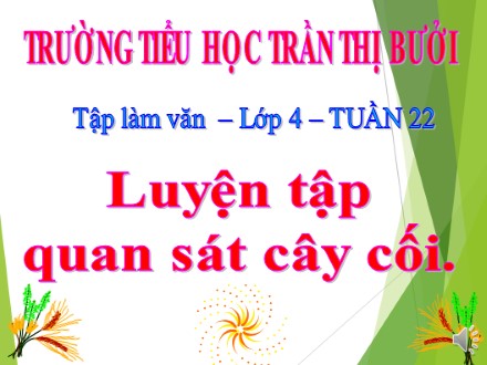 Bài giảng Tập làm văn Lớp 4 - Bài: Luyện tập quan sát cây cối - Trường tiểu học Trần Thị Bưởi