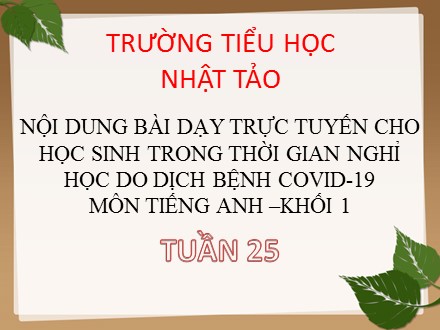 Bài giảng Tiếng Anh Lớp 1 - Unit 4: This is my mom! - Trường tiểu học Nhật Tảo