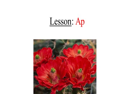 Bài giảng Tiếng Anh Lớp 4 - Tuần 25 - Lesson: Ap