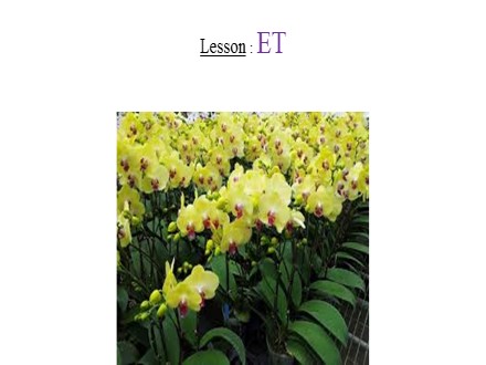 Bài giảng Tiếng Anh Lớp 4 - Tuần 27 - Lesson: ET