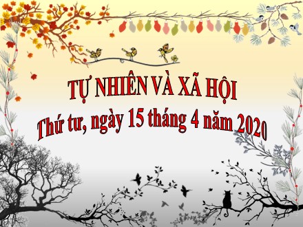 Bài giảng Tự nhiên xã hội Lớp 3 - Bài 49: Động vật - Năm học 2019-2020