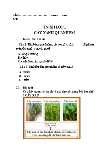 Bài tập ôn tập môn Tự nhiên xã hội Lớp 1 - Bài: Cây xanh quanh em