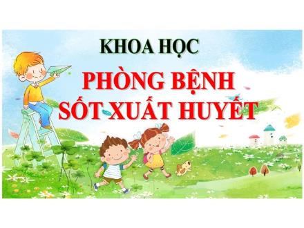 Bài giảng Khoa học Lớp 5 - Bài 13: Phòng bệnh sốt xuất huyết