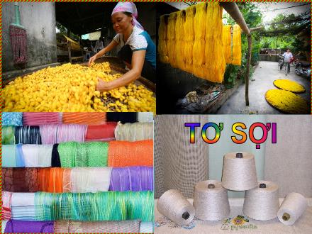 Bài giảng Khoa học Lớp 5 - Bài 32: Tơ sợi