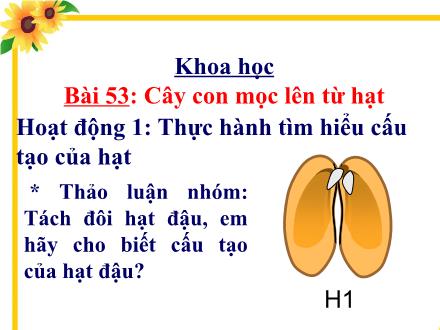 Bài giảng môn Khoa học Lớp 5 - Bài 53: Cây con mọc lên từ hạt