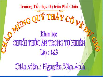 Bài giảng Stem Khoa học Lớp 4 - Chuỗi thức ăn trong tự nhiên - Nguyễn Vân Anh