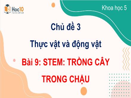 Bài giảng Stem Khoa học Lớp 5 - Chủ đề 3: Thực vật và động vật - Bài 9: Trồng cây trong chậu