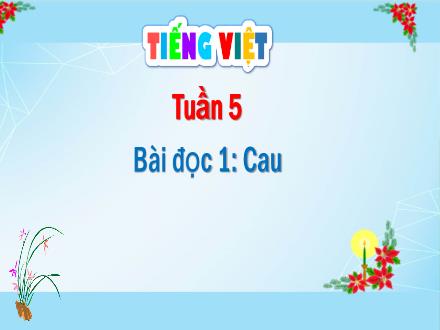 Bài giảng Tiếng Việt Lớp 4 - Tuần 5. Bài đọc 1: Cau