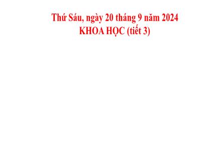 Bài giảng Khoa học 5 - Bài 2: Ô nhiễm, xói mòn đất và bảo vệ môi trường đất (Tiết 2) - Năm học 2024-2025