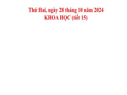 Bài giảng Khoa học 5 - Bài 8: Sử dụng năng lượng điện - Năm học 2024-2025