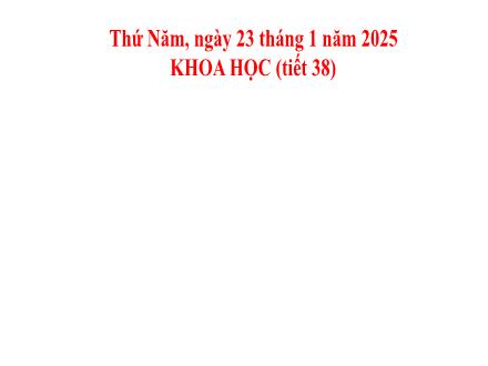 Bài giảng Khoa học 5 - Vi khuẩn xung quanh chúng ta - Năm học 2024-2025
