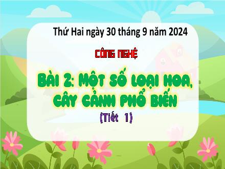 Bài giảng Lịch sử 4 (Kết nối tri thức) - Bài 2: Một số loại hoa, cây cảnh phổ biến (Tiết 1) - Năm học 2024-2025