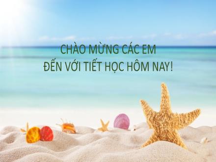 Bài giảng Mĩ thuật 5 - Bài 9: Sinh vật biển - Năm học 2024-2025 - Nguyễn Thị Ánh Tuyết