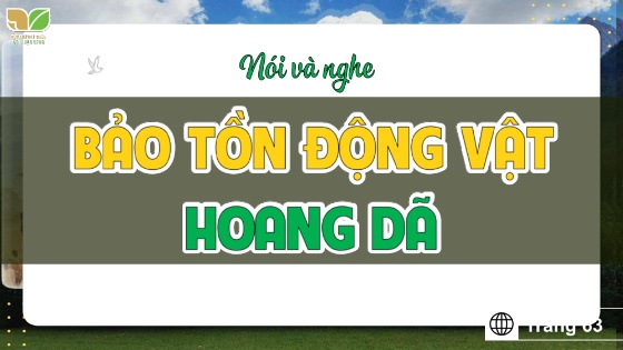 Bài giảng Tiếng Việt Lớp 5 sách Kết nối tri thức - Nói và nghe: Bảo tồn động vật hoang dã