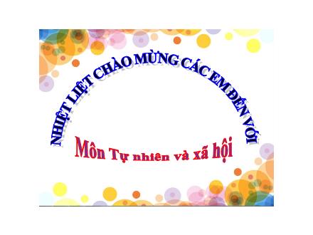 Bài giảng Tự nhiên và xã hội 1 (Kết nối tri thức) - Bài 3: Đồ dùng trong gia đình (Tiết 1) - Năm học 2024-2025
