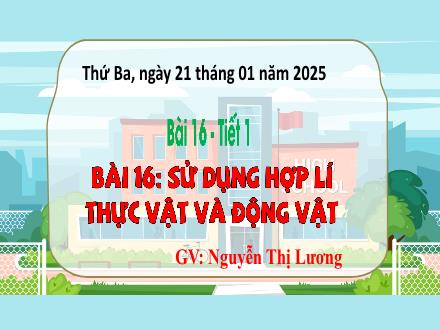 Bài giảng Tự nhiên và Xã hội 3 - Bài 16: Sử dụng hợp lí thực vật và động vật - Năm học 2024-2025 - Nguyễn Thị Lương