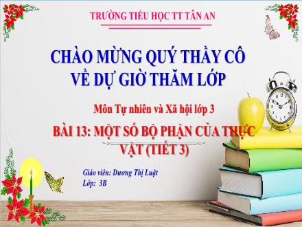 Bài giảng Tự nhiên và Xã hội 3 (Kết nối tri thức) - Bài 13: Một số bộ phận của thực vật (Tiết 3) - Năm học 2024-2025 - Dương Thị Luật