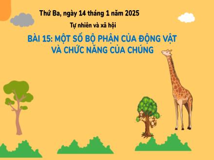 Bài giảng Tự nhiên và xã hội 3 (Kết nối tri thức) - Bài 15: Một số bộ phận của động vật và chức năng của chúng- Năm học 2024-2025