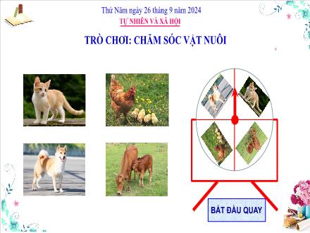 Bài giảng Tự nhiên và Xã hội 3 (Kết nối tri thức) - Bài 3: Vệ sinh xung quanh nhà (Tiết 1) - Năm học 2024-2025