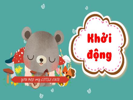 Bài giảng Tự nhiên & Xã hội 3 (Kết nối tri thức) - Bài 15: Một số bộ phận của động vật và chức năng của chúng - Năm học 2024-2025 - Nguyễn Thị Lương